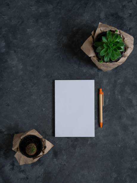 istock White blank notebook mockup dark background flat lay. Minimal work space sketchbook, paper pen, green plant top view. 1326755365