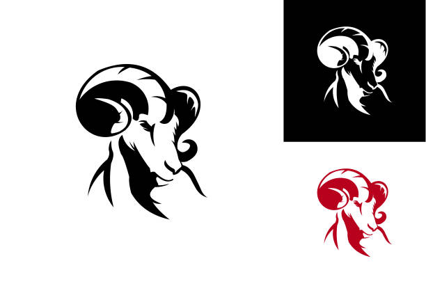 ziege logo vorlage design vektor, emblem, design-konzept, kreatives symbol, symbol - bighorn sheep stock-grafiken, -clipart, -cartoons und -symbole