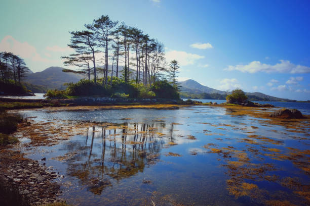 Coastal scenery on the Beara Peninsula, County Kerry, Ireland.