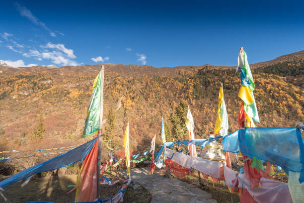 istock Sunset sky in spring ,vivid flags prayer on pathway in valley at Yading Sichuan Mountain,Sichuan china 1326774044