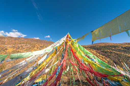 Sacred Xiannairi mountain with Five color prayer flags flying  in autumn forest at Yading,sichuan china