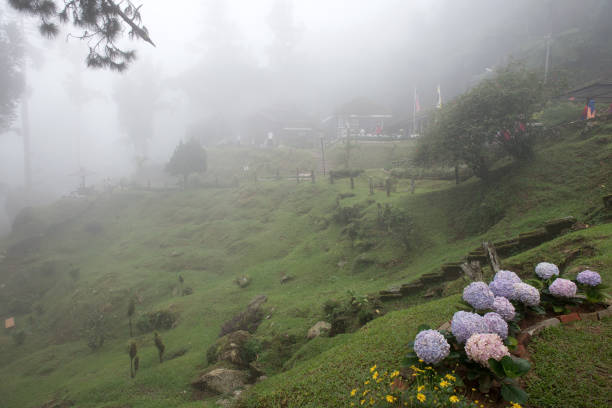 bukit larut é uma das atrações turísticas em taiping, pode ser alcançado por passeio 4x4 com clima de ambiente nevado sereno, malásia. - 1884 - fotografias e filmes do acervo