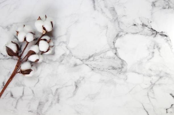 istock Top view of cotton sprigs on a marble background 1326784099