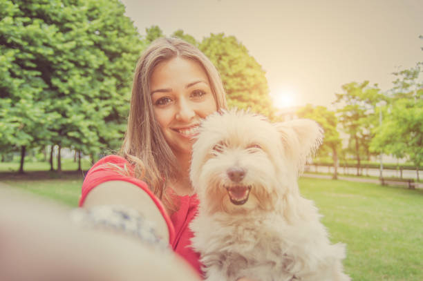 Young attractive girl taking a selfie with her dog Young attractive girl taking a selfie with her dog cheek to cheek photos stock pictures, royalty-free photos & images