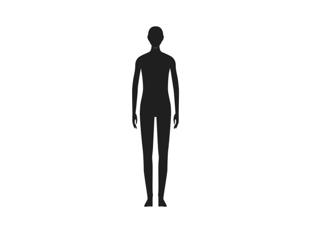 передний вид нейтрального пола силуэта человеческого тела. - контур stock illustrations