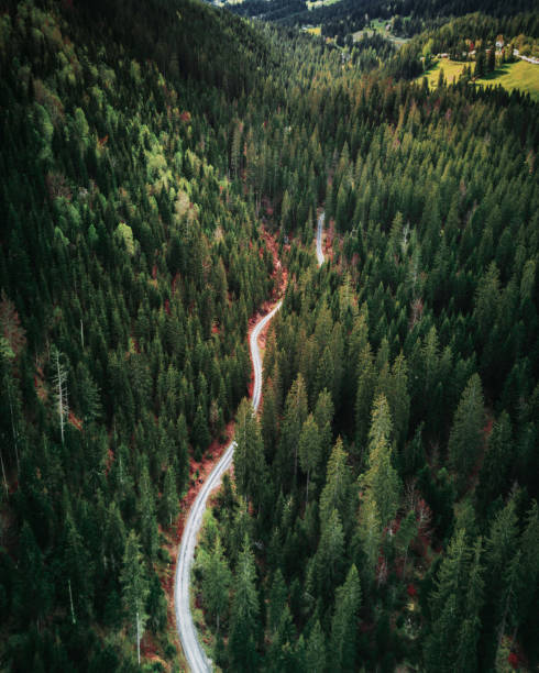 istock summer forest aerial view in switzerland 1326785587