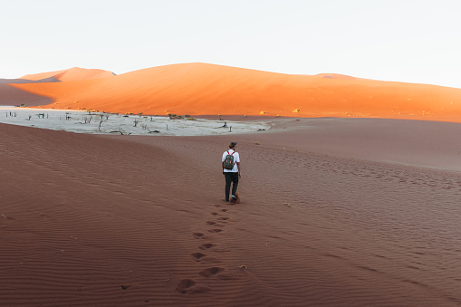 dry Sahara desert near Merzouga in Morocco