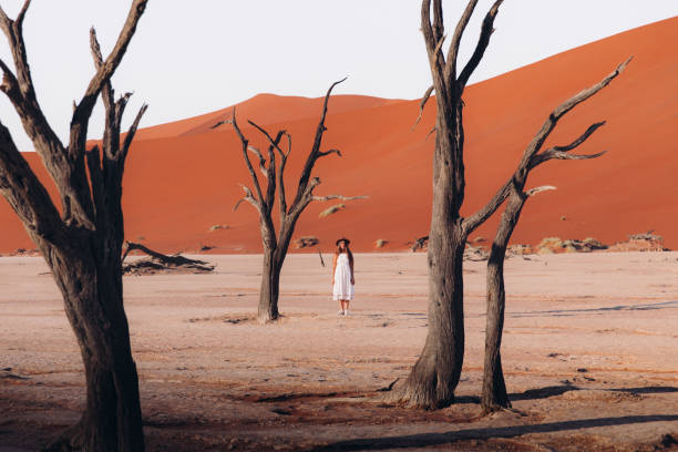 Woman traveler in dress exploring the scenic desert landscape with trees and sand dunes during sunrise in Sossuvlei, Namibia stock photo