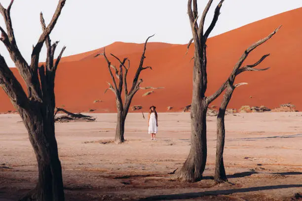 Young woman in hat and white dress walking at the beautiful remote desert exploring the dead tree area with the dry lake and beautiful sand dunes during sunrise at Namib-Naukluft National Park