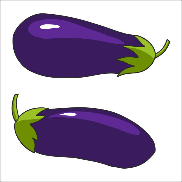 가지 세트. 흰색 배경에 격리된 벡터 그림 - eggplant group of objects raw food eating stock illustrations