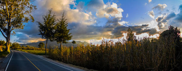 beautiful road scenery with sunset and dry corn crops