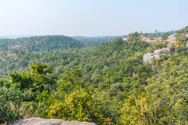 A beautiful landscape view of Ushakothi temple forest from top of mountain. stock photo
