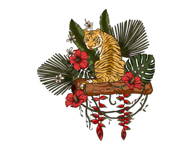 illustrations, cliparts, dessins animés et icônes de tigre tropical du bengale. nouvel an chinois 2022. - seated tiger