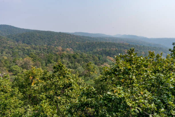 A beautiful landscape view of lord shiva temple forest from top of mountain. stock photo