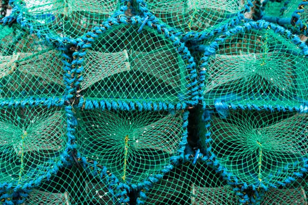 Photo of Lobster pots background