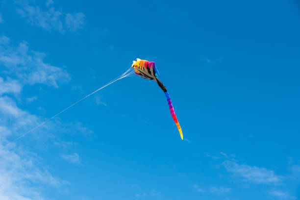 istock Colorful Kites flying over the sky 1326805595