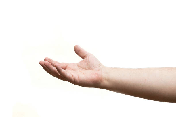 istock Hand palm up on a white background 1326806755