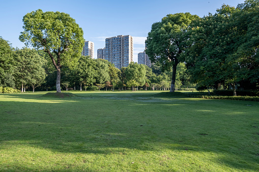 Open lawn under blue sky