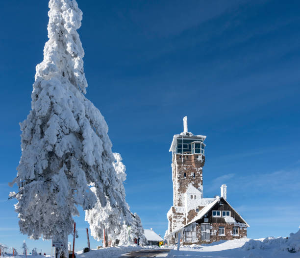 Germany, Black Forest, Hornisgrinde, the Hornisgrinde tower. stock photo