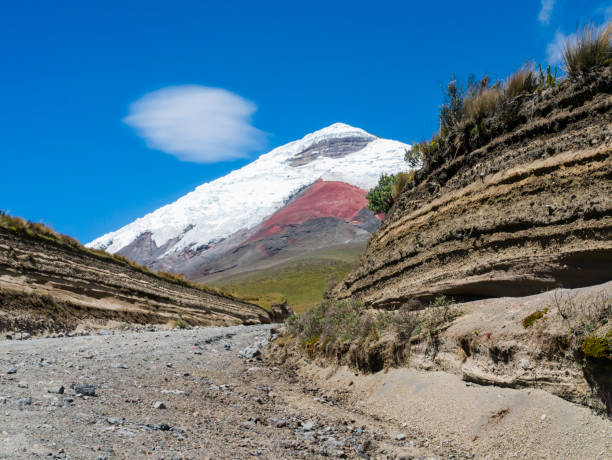 Stunning dirt road leading to snow capped Cotopaxi volcano, Ecuador Stunning dirt road leading to snow capped Cotopaxi volcano, Ecuador cotopaxi photos stock pictures, royalty-free photos & images