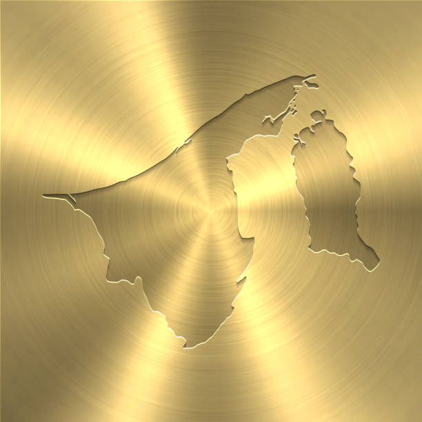 peta brunei pada latar belakang emas - tekstur logam yang disikat melingkar - brunei money ilustrasi stok