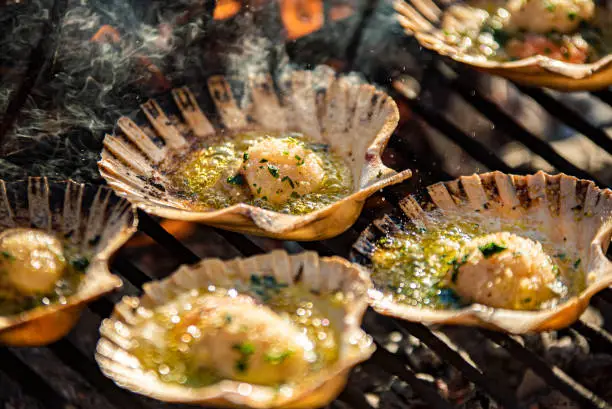 Detail of tasty Scallops on the grill with smoke, cooking scallops