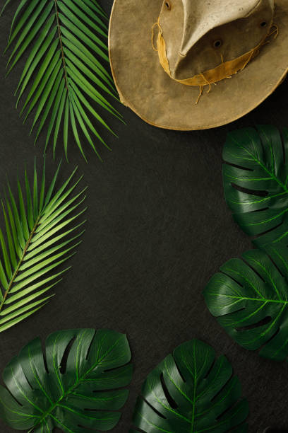 Tropical Leaves, Cowboy Hat, Minimal Layout, Jungle Expedition Concept, Blank Black Background, Vertical