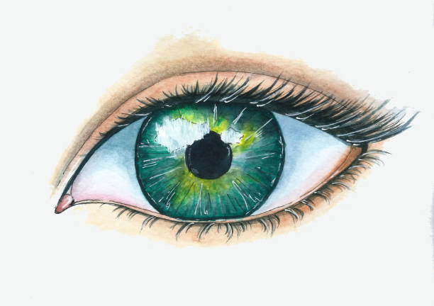 istock Watercolor woman green eye sketch 1326826726