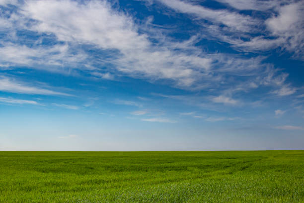 istock Landscape view with blue sky and green grass on slope background. 1326826750
