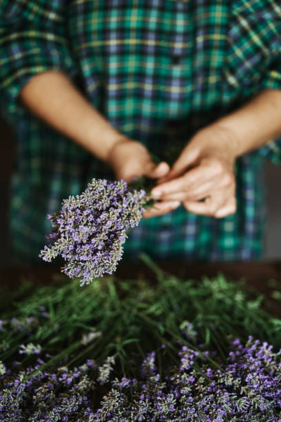 istock Woman arranging lavender bouquet 1326826791