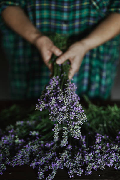 istock Woman arranging lavender bouquet 1326826794