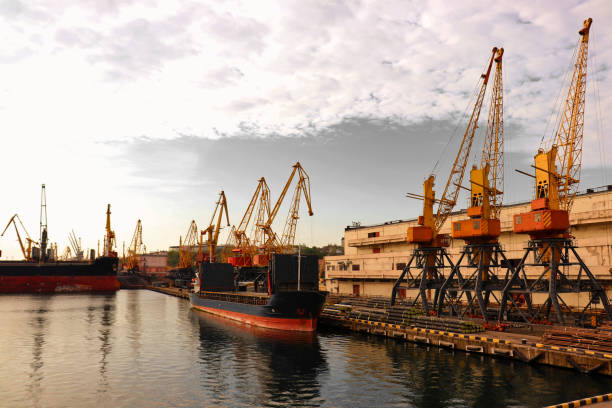 istock Marine terminal with a lot of crane. 1326827801
