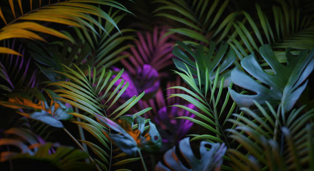 Background jundle highlighted in different colors. Shallow depth of field. 3D render.