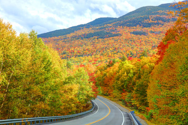 istock Grafton Notch State Park in Maine 1326828687