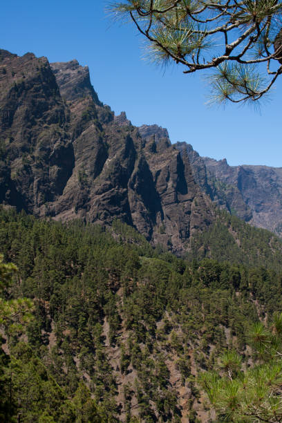 landschaften des nationalparks taburiente - bioreserve vertical spain europe stock-fotos und bilder