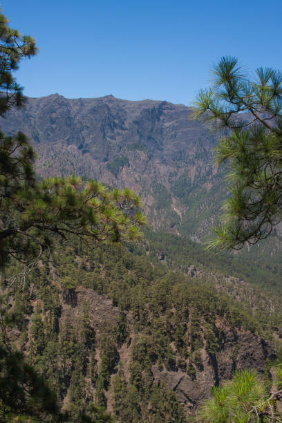 landschaften des nationalparks taburiente - bioreserve vertical spain europe stock-fotos und bilder