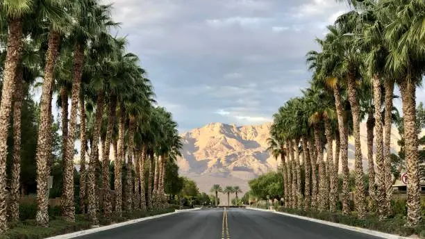 The North Las Vegas mountains loom in the backround of an urban neighborhood bordering the out skirts of development.