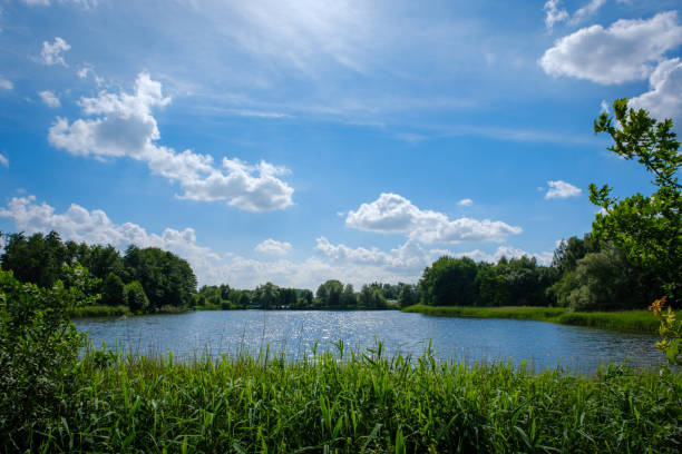 istock small lake is surrounded by green trees 1326840791