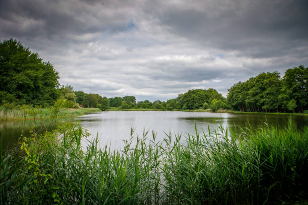 istock small lake is surrounded by green trees 1326840814
