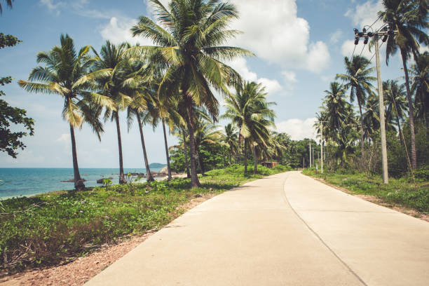 Open road by the sea stock photo