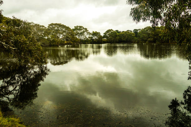 istock Rokewood, Victoria, Australia 1326845892