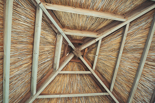 Thatched Roof, Wooden, Tropical Climate, Hawai