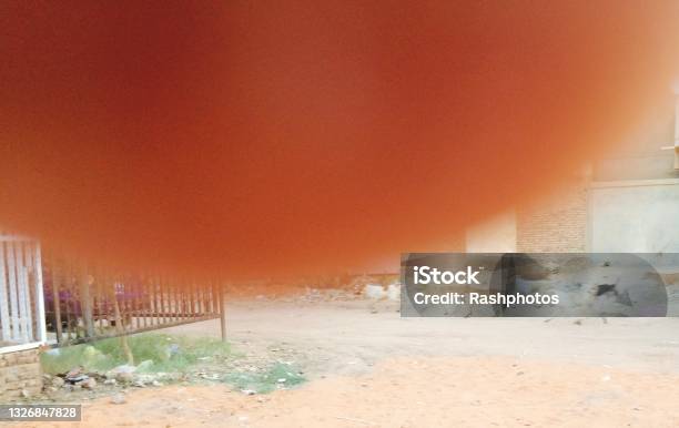 Stray Dog Convoy Stock Photo - Download Image Now - Khartoum, Sudan, Zoonotic Diseases