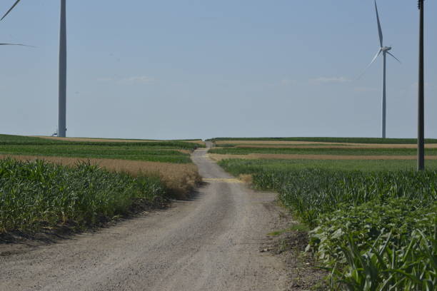 istock Dirt road through a wind farm in wheat and corn fields 1326849779