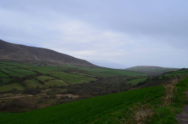 istock Stunning Landscape of Dingle Ireland 1326850567