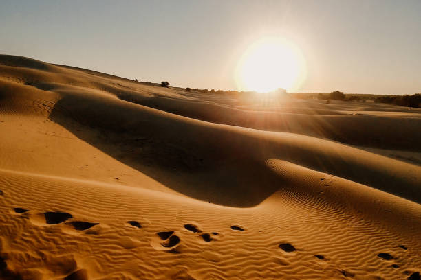 istock Sand dunes in desert landscape at sunset 1326851822