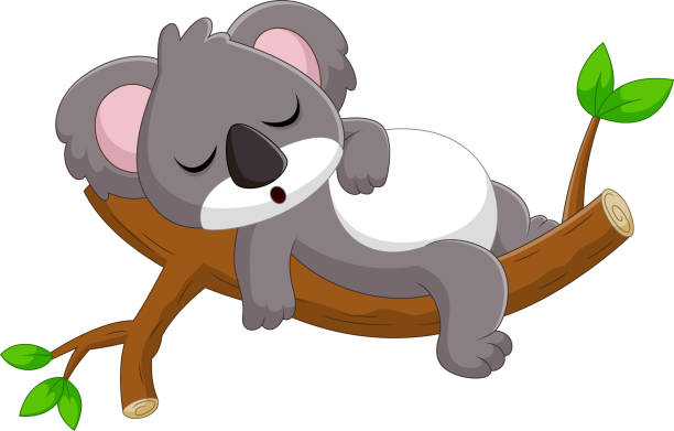 cartoon Cute koala is sleeping on a tree vector illustration of cartoon Cute koala is sleeping on a tree koala sleeping animal australia stock illustrations