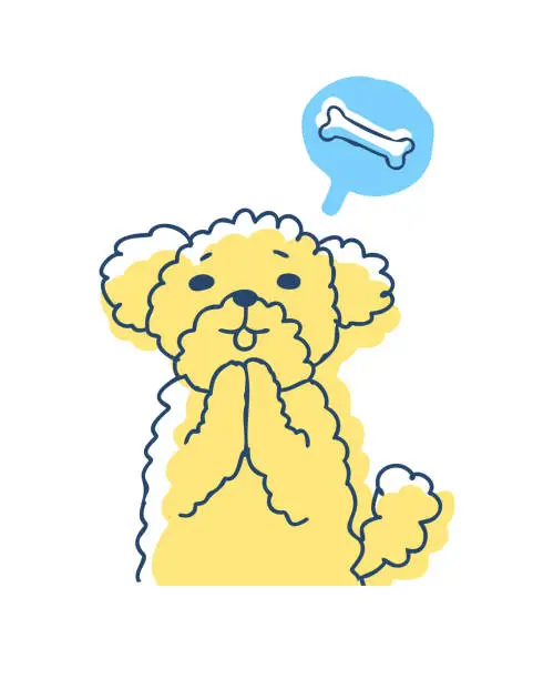 Vector illustration of Poodle who wants a snack and demands it