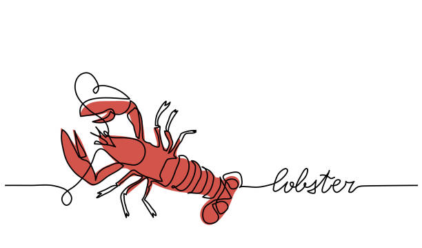 illustrazioni stock, clip art, cartoni animati e icone di tendenza di aragosta rossa o gamberi sfondo vettoriale minimalista, striscione, poster. design della segnaletica, del negozio o del negozio. un disegno artistico di linea continua di aragosta, gamberi - gourmet food lobster seafood