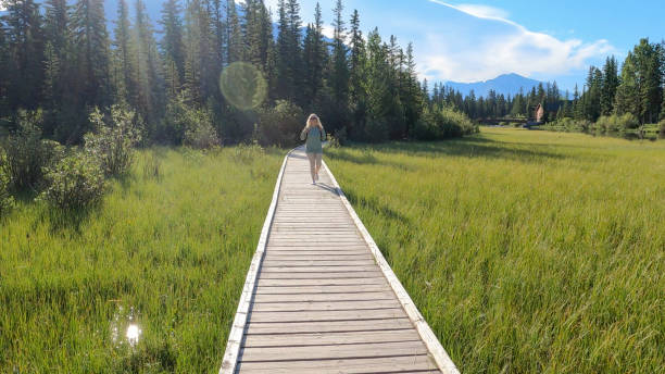 istock Female hiker walks along boardwalk through marsh area 1326868299